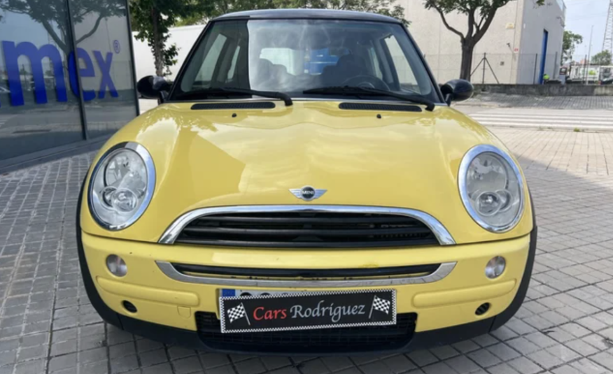 MINI MINI D